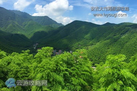 安吉大竹海自驾游攻略