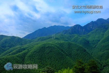 安吉大竹海自驾游攻略