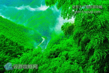 安吉大竹海自驾游攻略