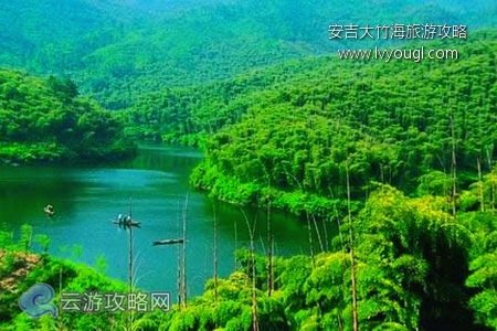 安吉大竹海自驾游攻略