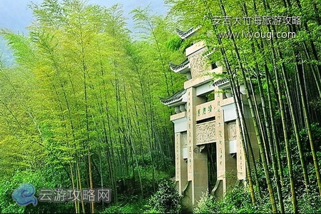 安吉大竹海自驾游攻略