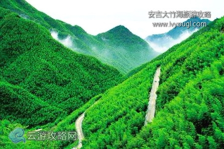 安吉大竹海自驾游攻略