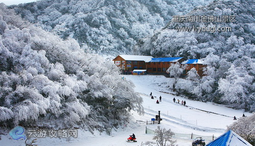 重庆南川金佛山景区