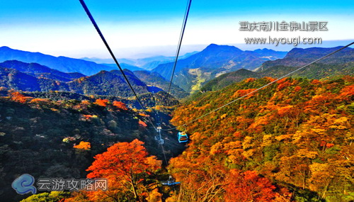 重庆南川金佛山景区