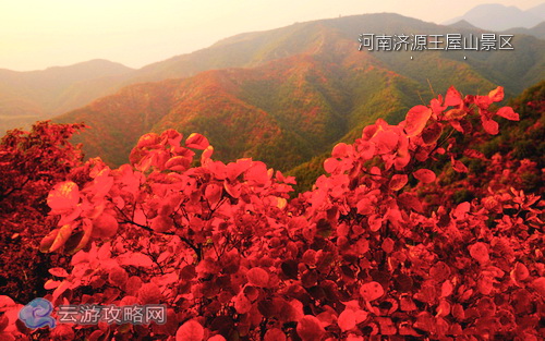 河南济源王屋山