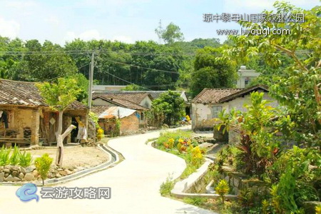 海南琼中黎母山国家森林公园