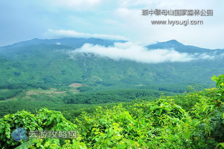 海南琼中黎母山国家森林公园