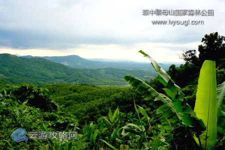 海南琼中黎母山国家森林公园