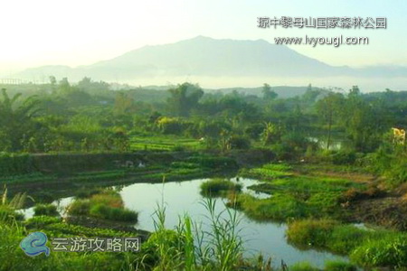 海南琼中黎母山国家森林公园