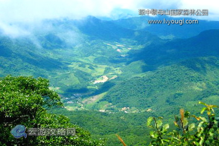 海南琼中黎母山国家森林公园