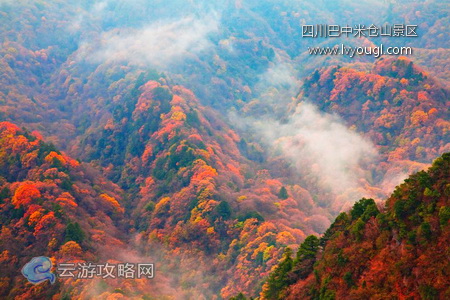 四川巴中米仓山