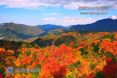 四川巴中米仓山