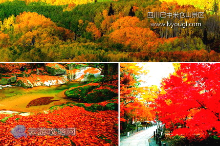 四川巴中米仓山