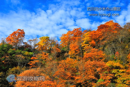 四川巴中米仓山