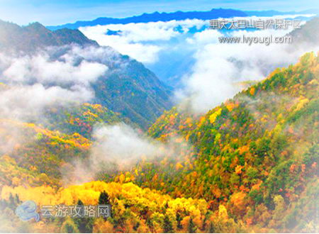 重庆大巴山国家级自然保护区