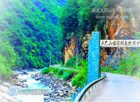 重庆大巴山国家级自然保护区