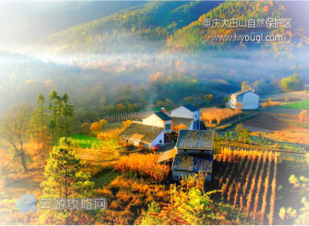 重庆大巴山国家级自然保护区