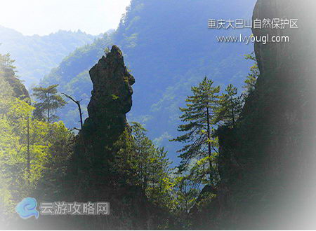 重庆大巴山国家级自然保护区