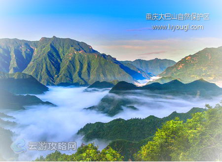 重庆大巴山国家级自然保护区