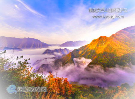 重庆大巴山国家级自然保护区