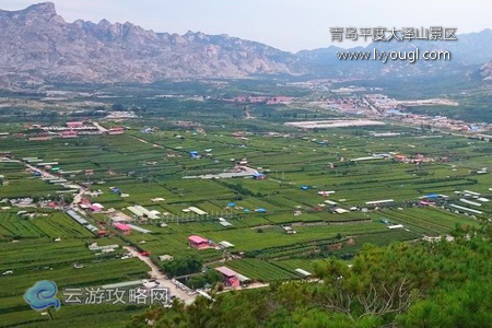 青岛平度大泽山