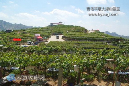 青岛平度大泽山