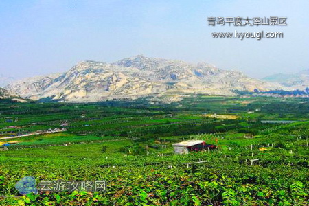 青岛平度大泽山