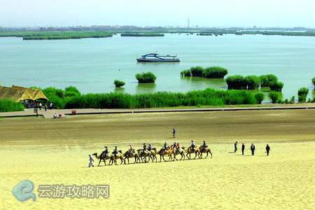 宁夏沙湖风光