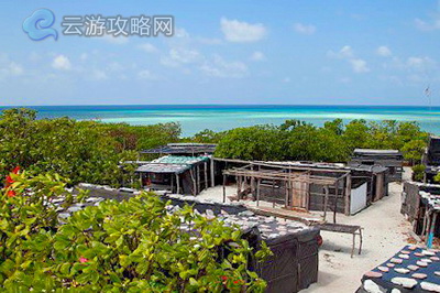 西沙旅游攻略