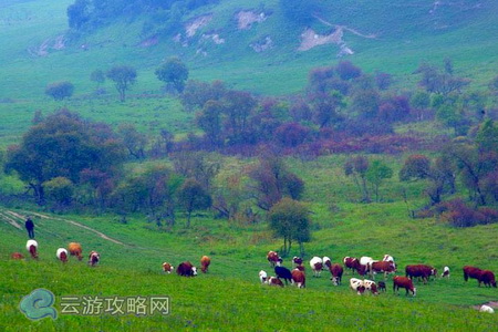 关山牧场旅游攻略 宝鸡关山草原旅游攻略