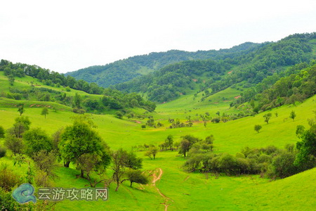 关山牧场旅游攻略 宝鸡关山草原旅游攻略