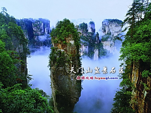 天门山盆景石区