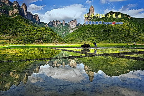 浙江仙居神仙居景区