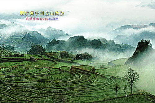 丽水景宁封金山