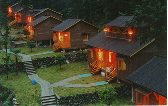 丽水松阳箬寮原始林风景区