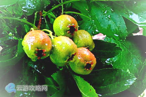 山西长治壶关青龙峡游记