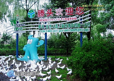 宁波滕头村图片