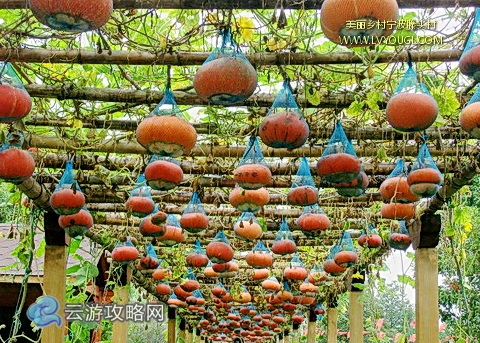 宁波滕头村图片