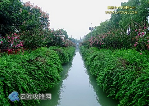 宁波滕头村图片