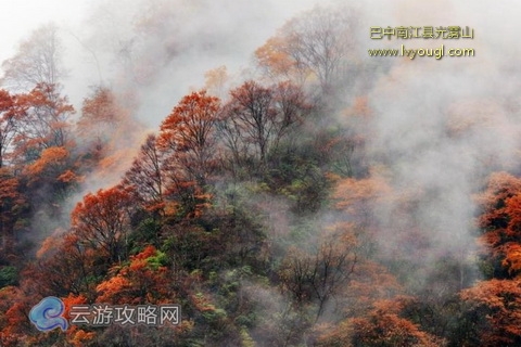 巴中南江县光雾山