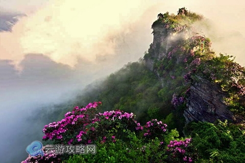 巴中南江县光雾山
