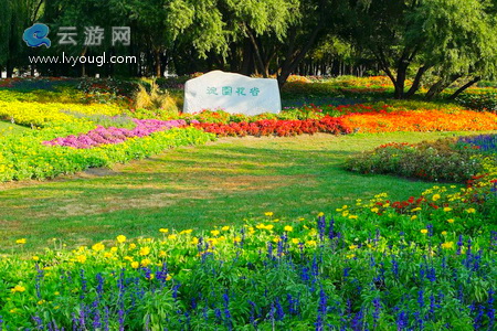 海淀公园内有哪些著名景点