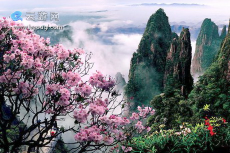 莽山森林公园好玩吗