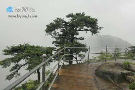 湖南莽山国家森林公园