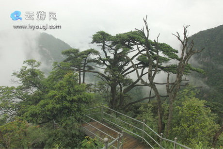 湖南莽山国家森林公园