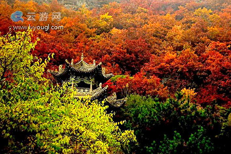 兰州兴隆山风景名胜区