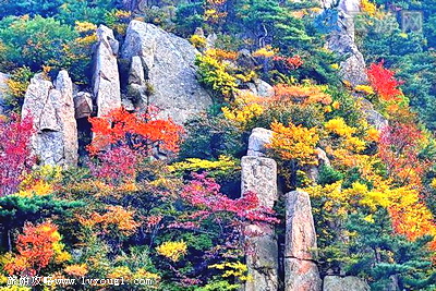 崂山北九水景区