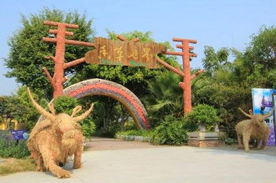 广州花都香草世界