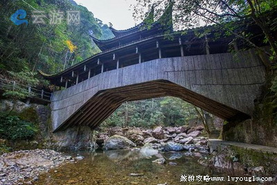 泰顺乌岩岭