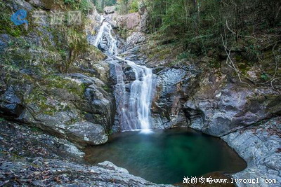 泰顺乌岩岭